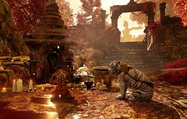 Picture candles, stage, temple, male, ruins, white tiger, tiger, sanctuary, Far Cry 4, autumn day, milita