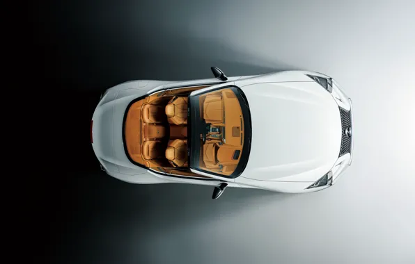 Picture Lexus, convertible, the view from the top, 2021, LC 500 Convertible