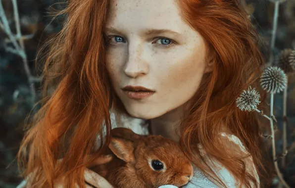 Picture look, girl, face, hair, portrait, rabbit, freckles, red, redhead, Marketa Novak, Marie Hlávková