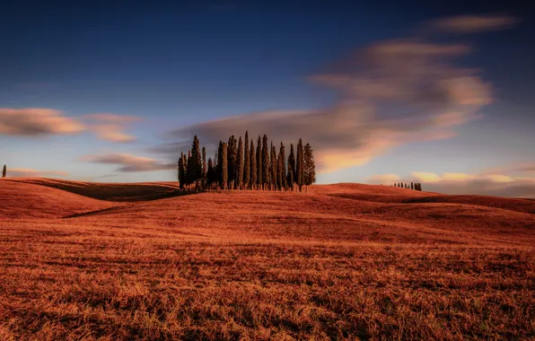 Picture field, clouds, trees, Italy, Italy, cypress, Tuscany, Tuscany