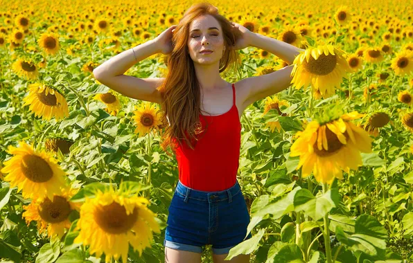 Picture field, summer, girl, sunflowers, pose, mood, shorts, hands, figure, freckles, red, redhead, freckled, Cyril Zakirov, …