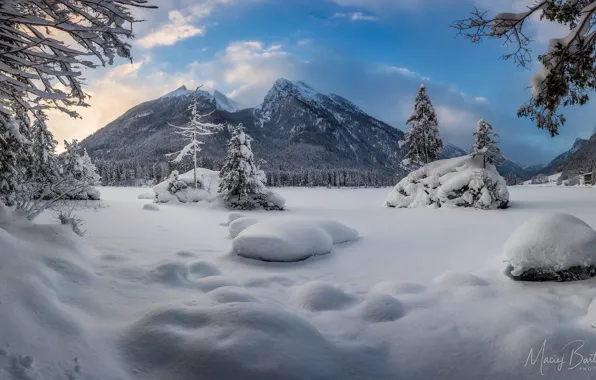 Picture winter, forest, the sky, snow, mountains, Germany, Bayern, frost, Berchtesgaden, Hintersee, Eugene Bartnicki