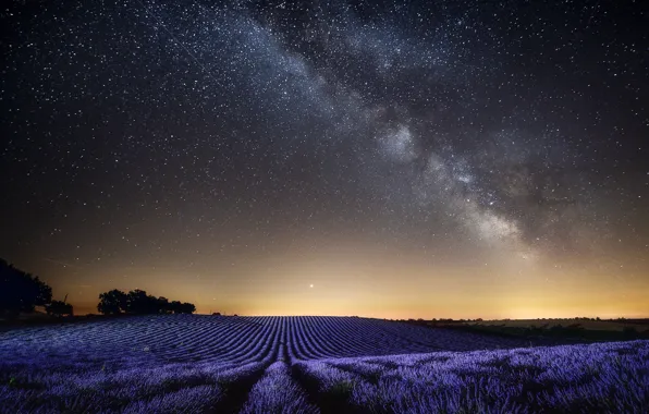 Picture field, the sky, landscape, night, nature, France, stars, lavender, Provence