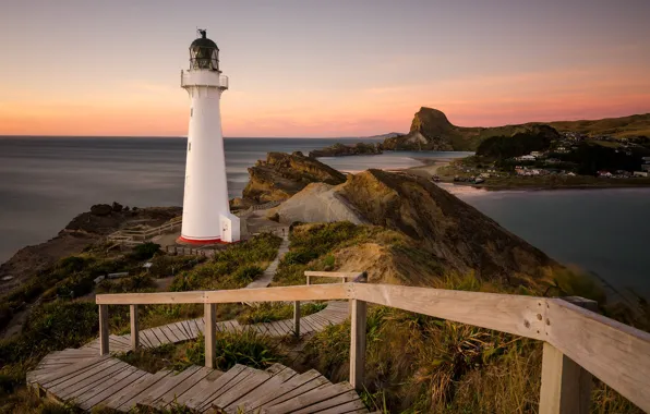 Picture landscape, nature, the ocean, shore, lighthouse, New Zealand, ladder, Castlepoint