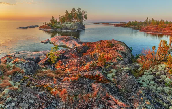 Picture summer, trees, landscape, nature, lake, stones, dawn, morning, Lake Ladoga, Karelia, Ladoga, Vladimir Ryabkov, Skerries