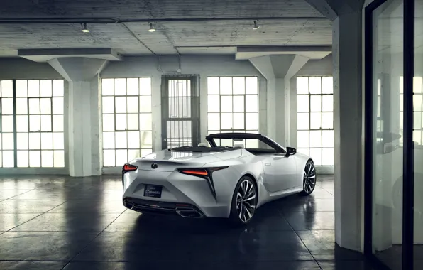 Picture white, Lexus, back, convertible, 2019, LC Convertible Concept