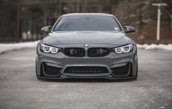 Picture BMW, Light, Gray, Face, Sight, LED, F83