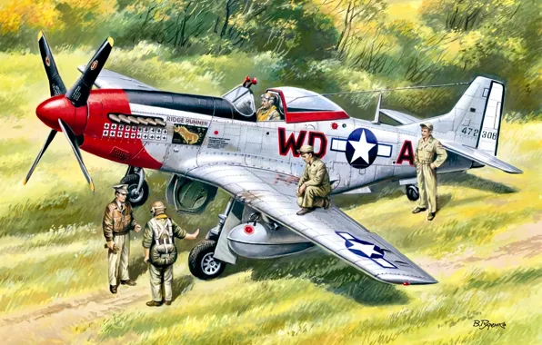 Picture fighter, P-51, pilot, drop tank, 4th FG, 335th FS, aircraft, P-51D-20-NA