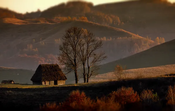 Picture autumn, trees, landscape, nature, hills, home, forest, Romania, Alexander Perov