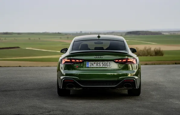 Picture Audi, rear view, RS 5, 2020, RS5 Sportback
