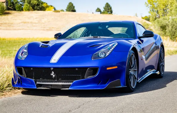 Picture blue, sports car, front view, Gran Turismo, Ferrari F12 TDF