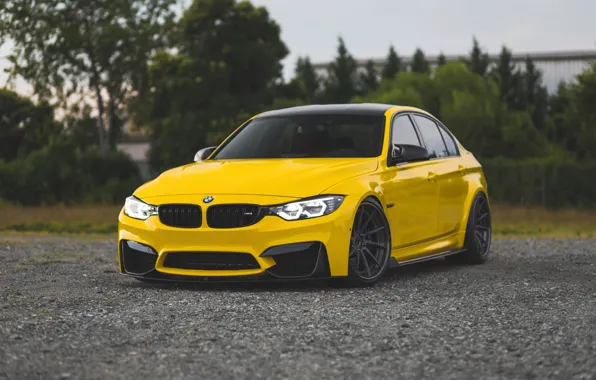 Picture BMW, Yellow, F80, M3