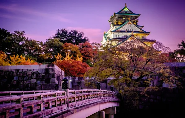 Picture trees, sunset, bridge, the city, castle, Japan, garden, Osaka