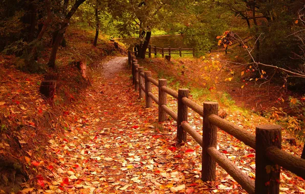 Picture autumn, leaves, trees, Park, the fence, path