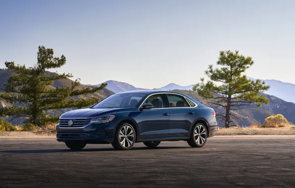 Picture trees, blue, Volkswagen, sedan, Passat, 2020, 2019, US Version