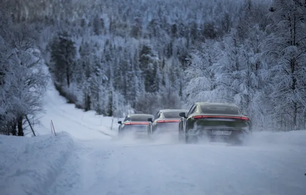 Picture road, forest, snow, movement, Porsche, 2020, Taycan, Taycan 4S