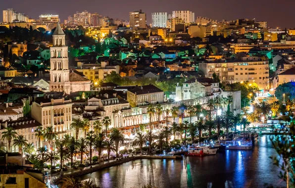 Picture sea, night, lights, palm trees, yachts, promenade, Croatia, Split