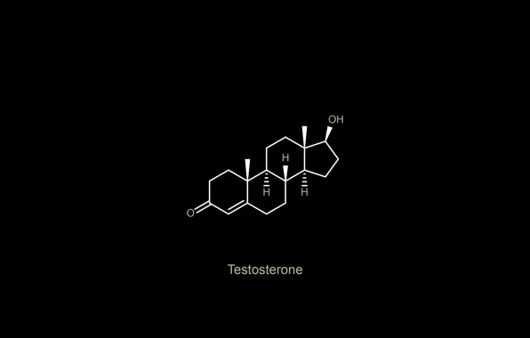 Picture minimalism, oxygen, chemistry, black background, science, simple background, Testosterone, chemical structures, hydrogen