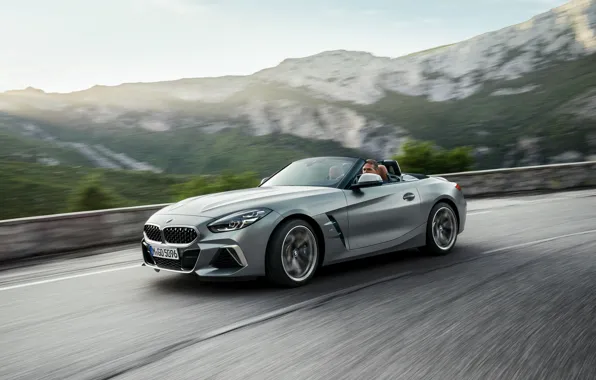 Picture grey, speed, BMW, the fence, Roadster, mountain road, BMW Z4, M40i, Z4, 2019, G29