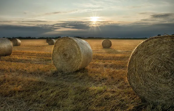 Picture field, summer, sunset, hay