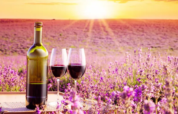 Picture field, the sky, the sun, rays, landscape, flowers, wine, bottle, horizon, glasses, table, lavender, bokeh