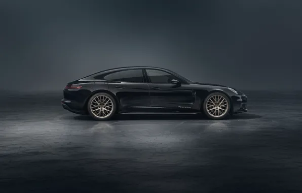 Picture Porsche, Panamera, side view, 2019, 10 Year Edition