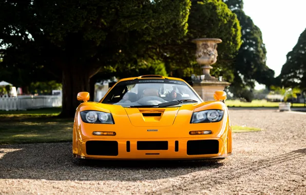 Picture yellow, hypercar, McLaren F1 LM, F1 LM