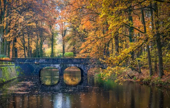 Picture autumn, trees, bridge, Park, river, Netherlands