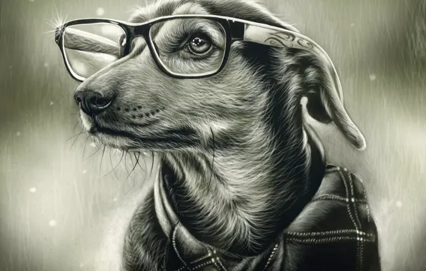 Picture dog, glasses, picture a simple pencil