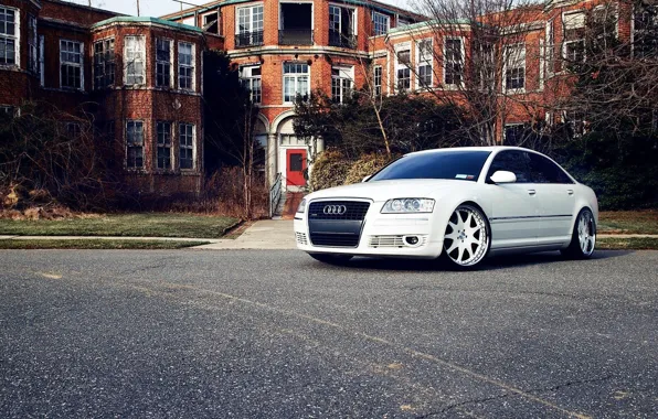Picture Audi, Car, White