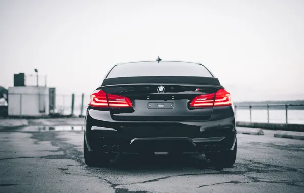 Picture BMW, Black, Rear View, M5, Taillight, F90