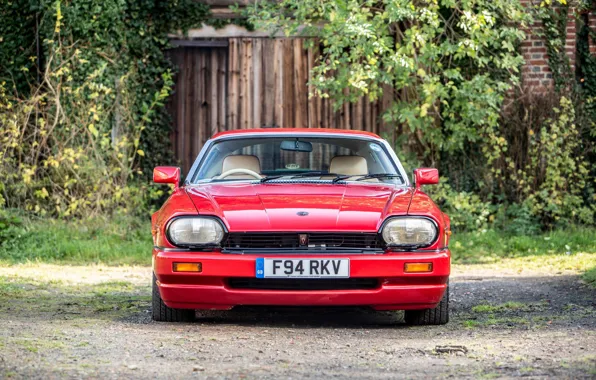 Picture Red, Front view, Classic car, Jaguar XJR-S