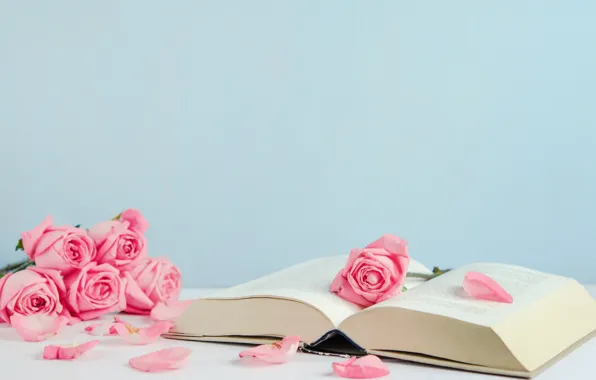 Picture flowers, roses, petals, book, pink, buds, pink, flowers, romantic, petals, roses, cute