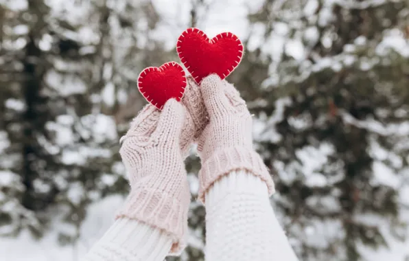 Picture winter, snow, love, heart, love, heart, winter, mittens, snow, romantic, hands, valentine