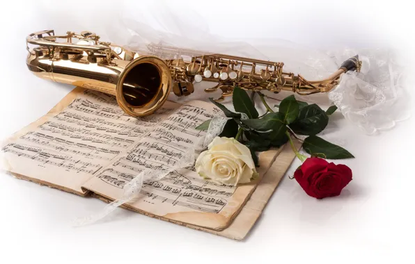 Picture flowers, style, notes, roses, braid, saxophone