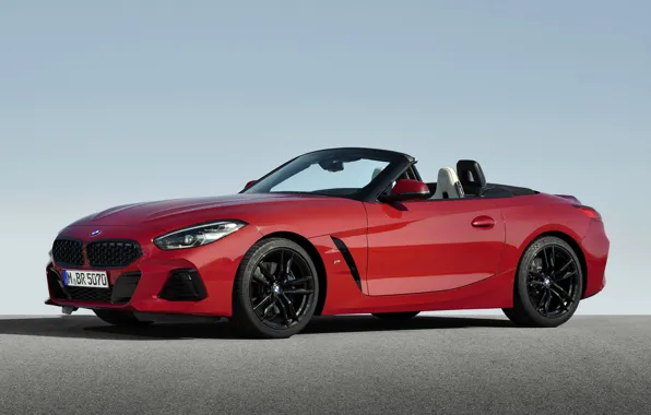 Picture the sky, asphalt, red, BMW, Roadster, BMW Z4, First Edition, M40i, Z4, 2019, G29