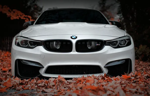 Picture BMW, Front, White, Autumn, Face, F80, Sight, Aggressive