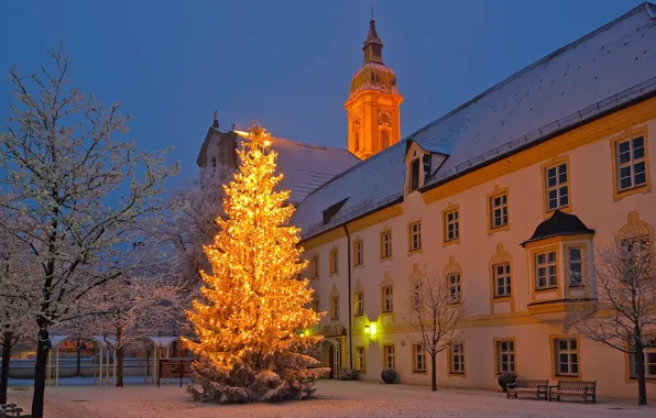 Picture city, lights, Christmas, twilight, trees, Germany, sunset, winter, snow, evening, New Year, Christmas tree, building, …