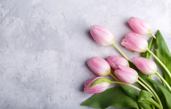 Picture flowers, bouquet, tulips, pink, fresh, pink, flowers, tulips, spring