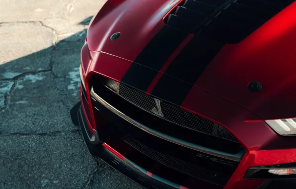 Picture Mustang, Ford, Shelby, GT500, before, bloody, 2019
