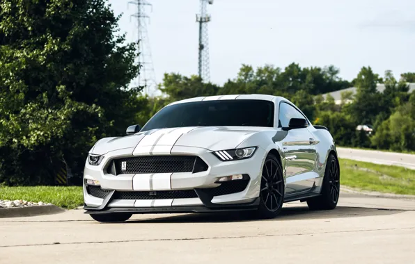 Picture Mustang, Ford, Shelby, GT350