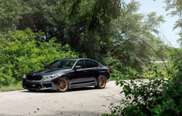 Picture Grey, Wheels, Trees, M5, F90