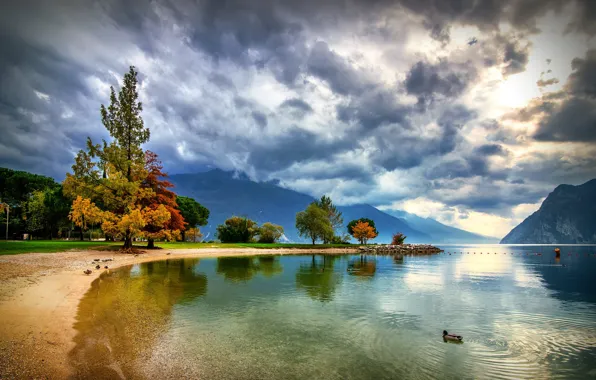Picture trees, landscape, mountains, clouds, nature, lake, shore, duck, Italy, bad weather, Garda