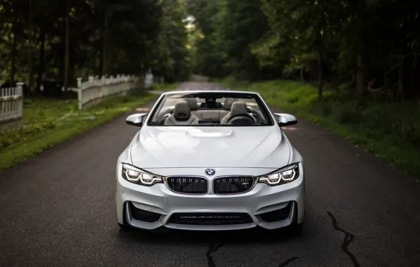 Picture BMW, Lights, White, Convertible, Face, F83, Adaptive LED
