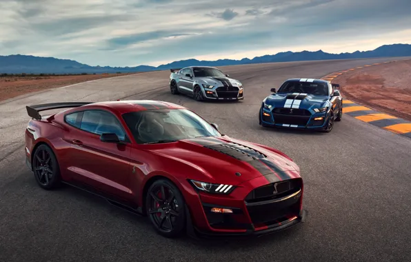 Picture Mustang, Ford, Shelby, GT500, 2019