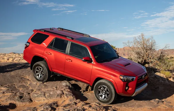 Picture Toyota, SUV, TRD, Off-Road, 2020, 4Runner