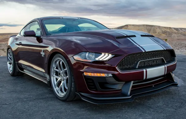 Picture Shelby, mustang, ford, 2018, Super Snake