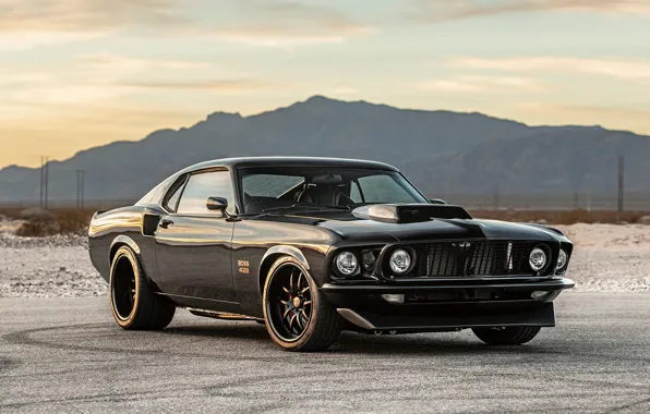 Picture Muscle, Ford Mustang, Coupe, Vehicle, Boss 429