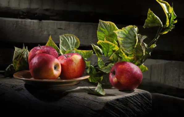Picture leaves, apples, Board, branch, plate, fruit, Sergey Pounder