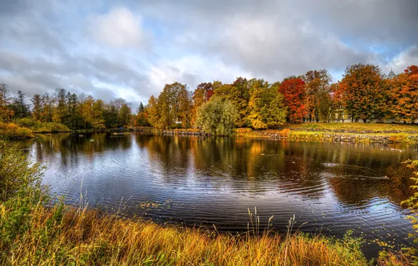 Picture photo, Nature, Grass, Autumn, Trees, River, Russia